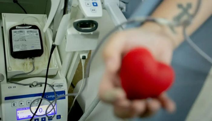 App que incentiva doação de sangue já pode ser baixado